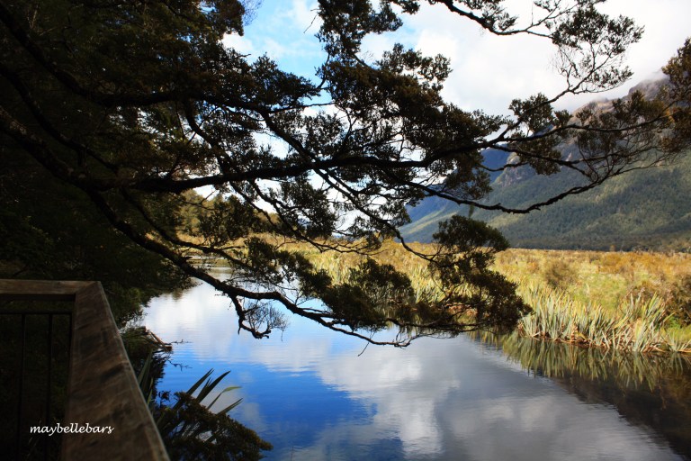 My fave shot of Mirror Lake. You'll see this on the way to Milford Sound. It's amazing that the reflection of the sky looks sharper than the actual one.