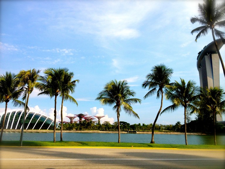 Relaxing at bar after the Singapore flyer ride, overlooking the Giant Supertrees and Flower Dome