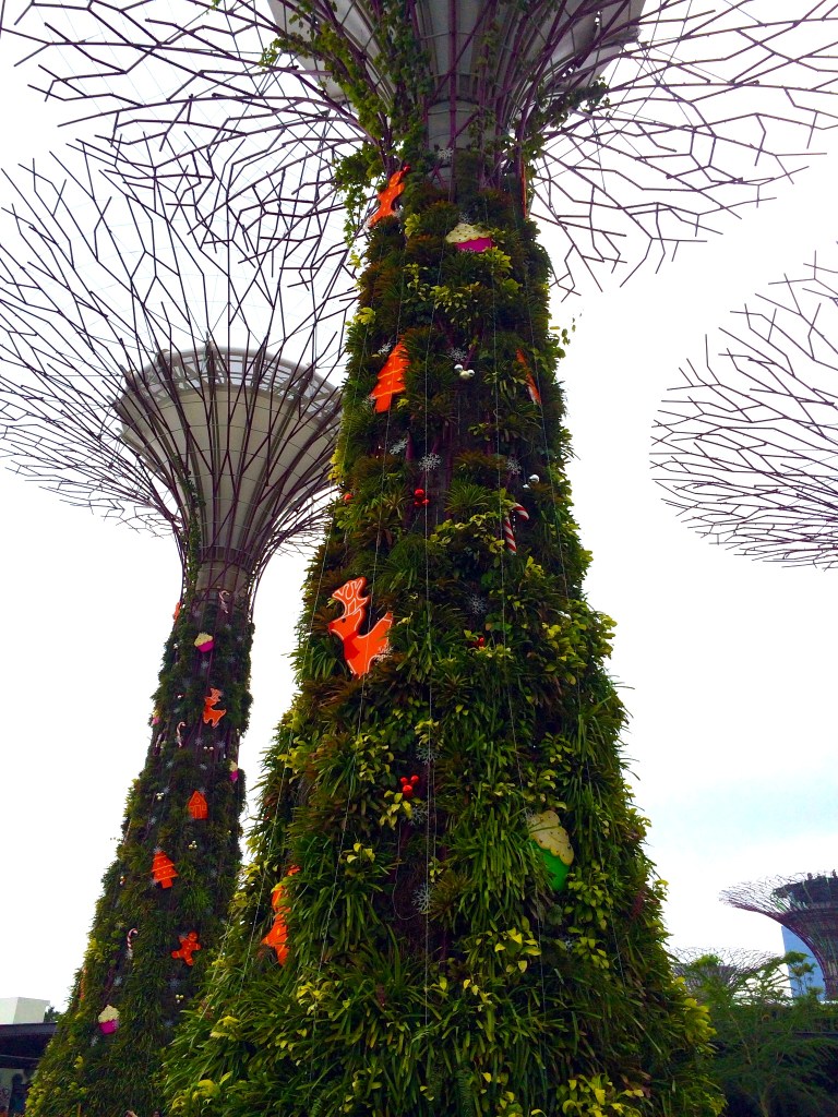 Feeling the Christmas Spirit around the Giant Supertrees at Gardens by the Bay