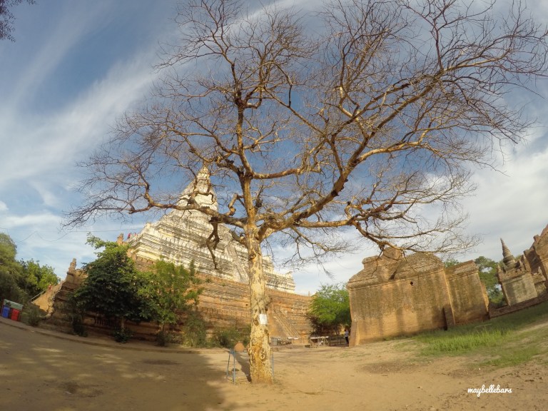 DCIM100GOPROGOPR3740.