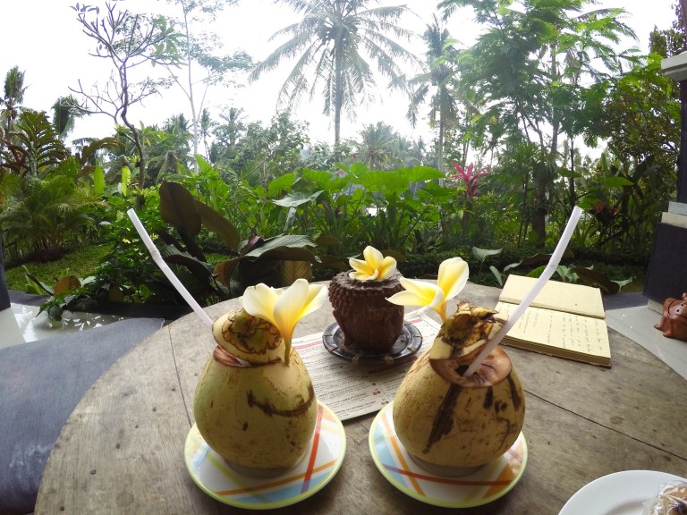 DCIM100GOPROGOPR3831.