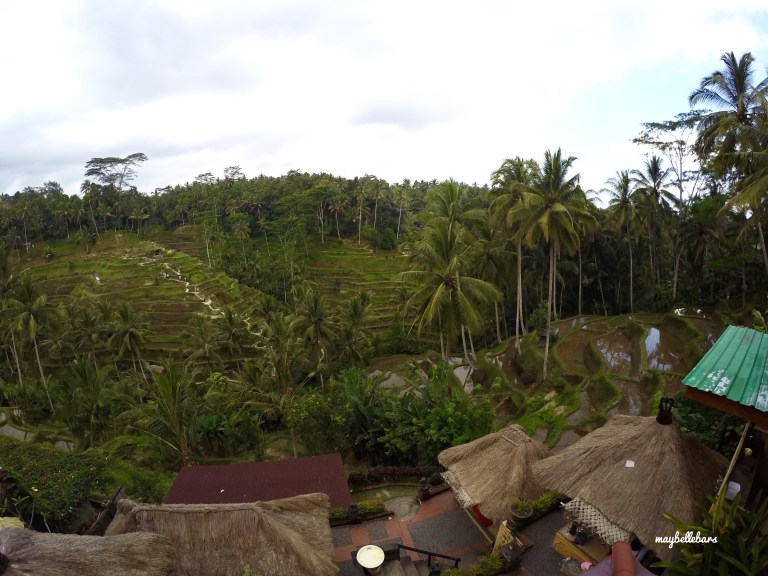 DCIM100GOPROGOPR3837.