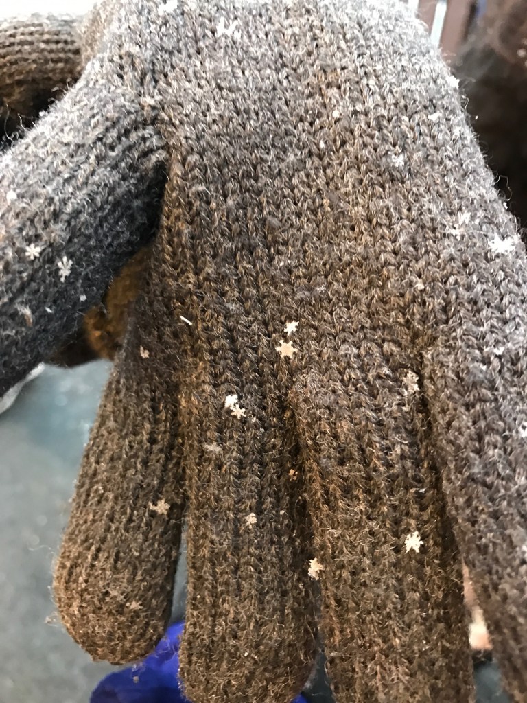 3035c755-fb4b-4b02-87f2-e04053610624